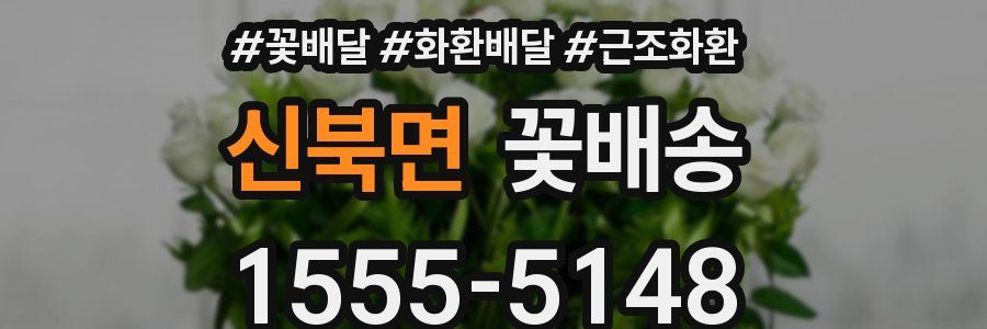 신북면 꽃배송