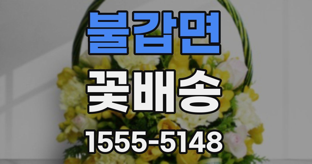 불갑면 꽃배송