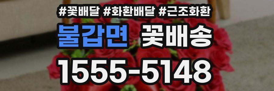 불갑면 꽃배송