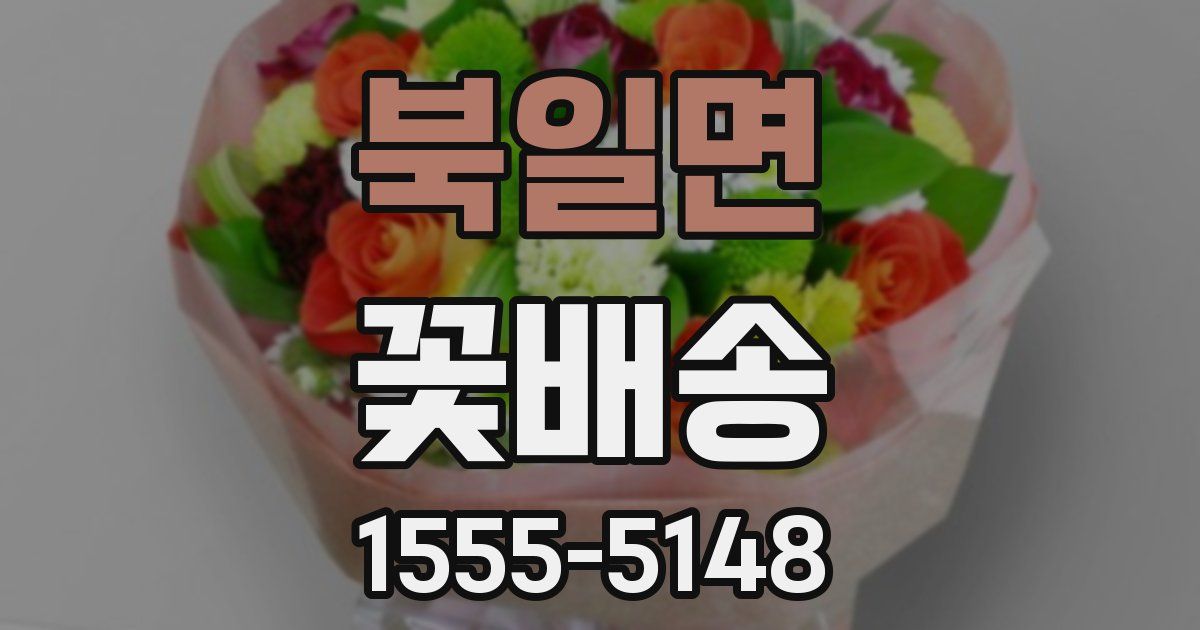 북일면 꽃배송