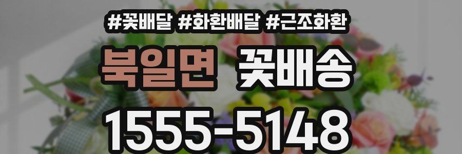 북일면 꽃배송