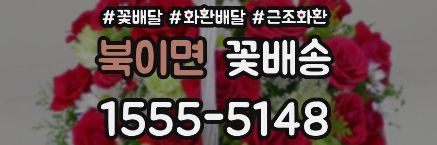 북이면 꽃배송
