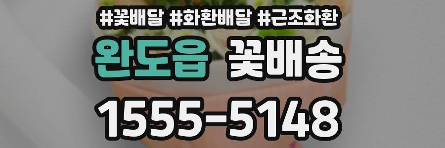 완도읍 꽃배송