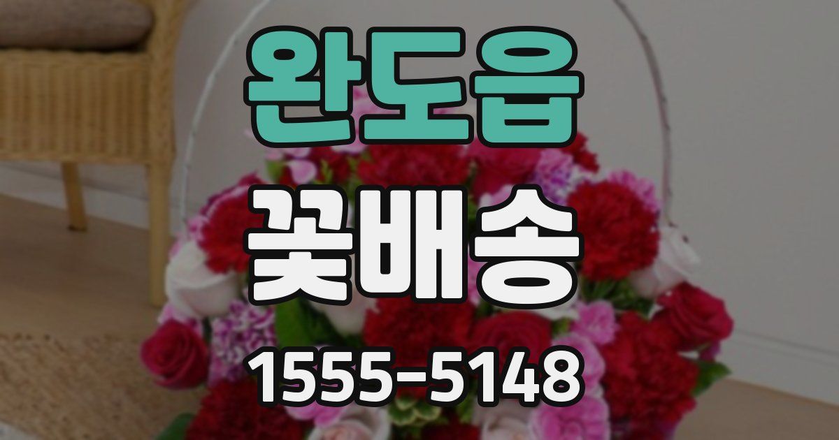 완도읍 꽃배송