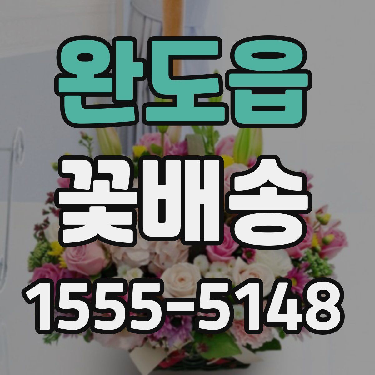 완도읍 꽃배송