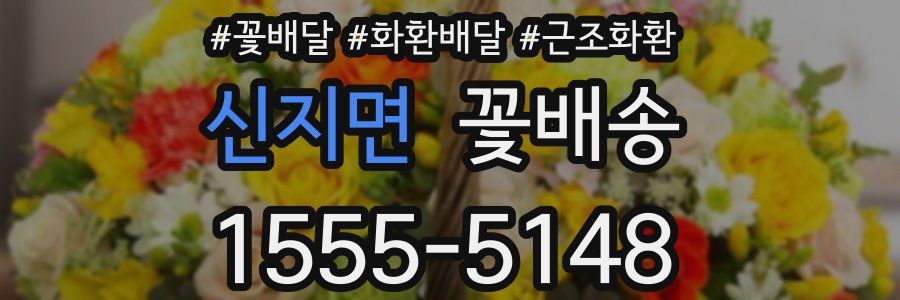 신지면 꽃배송