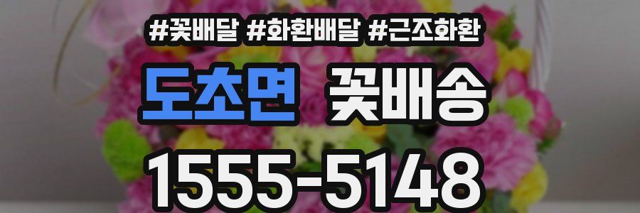 도초면 꽃배송