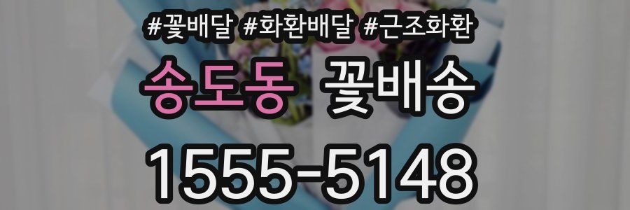 송도동 꽃배송