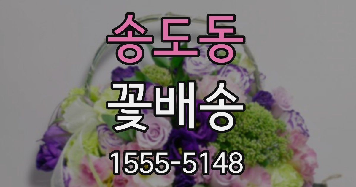송도동 꽃배송