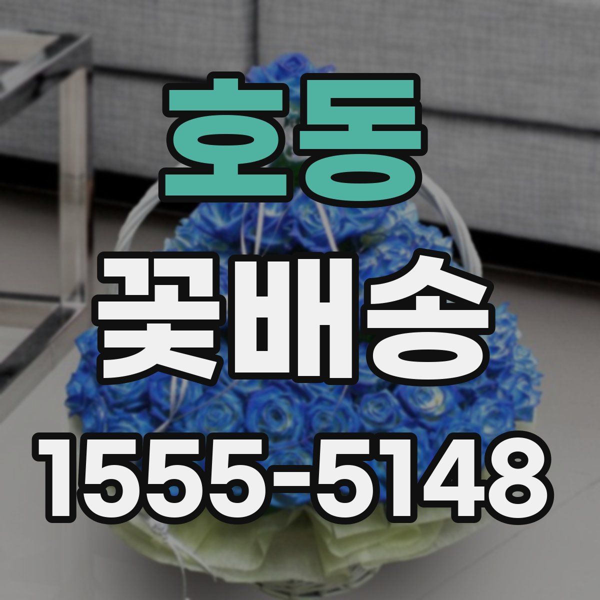 호동 꽃배송