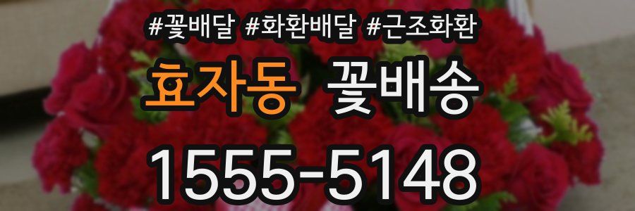 효자동 꽃배송
