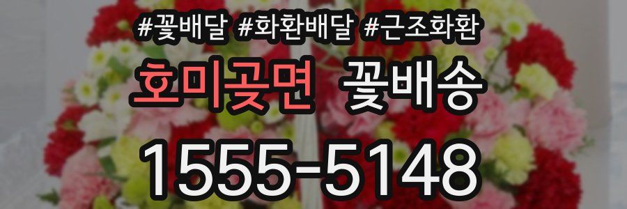 호미곶면 꽃배송