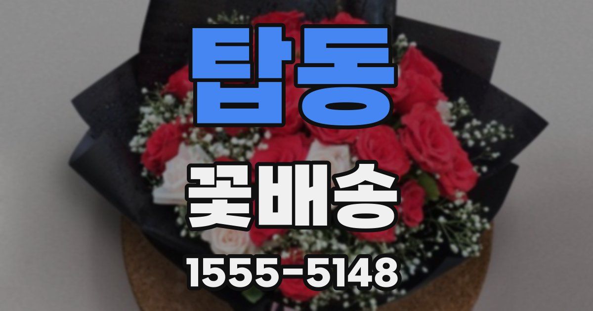 탑동 꽃배송