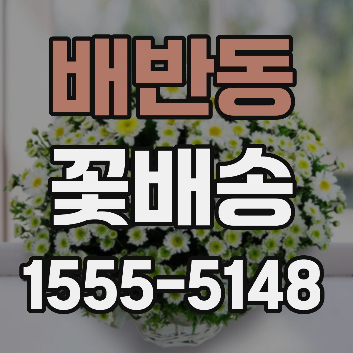 배반동 꽃배송