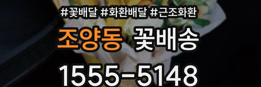 조양동 꽃배송