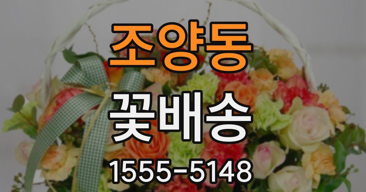 조양동 꽃배송