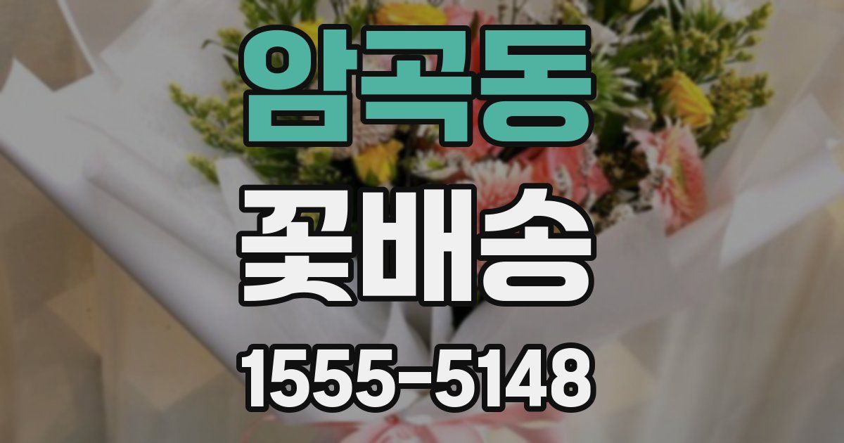 암곡동 꽃배송