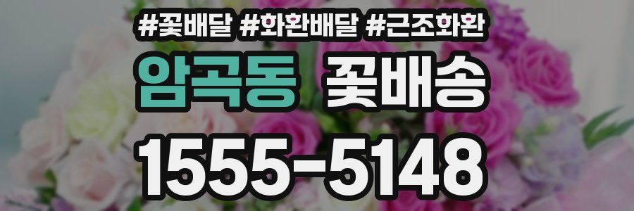 암곡동 꽃배송