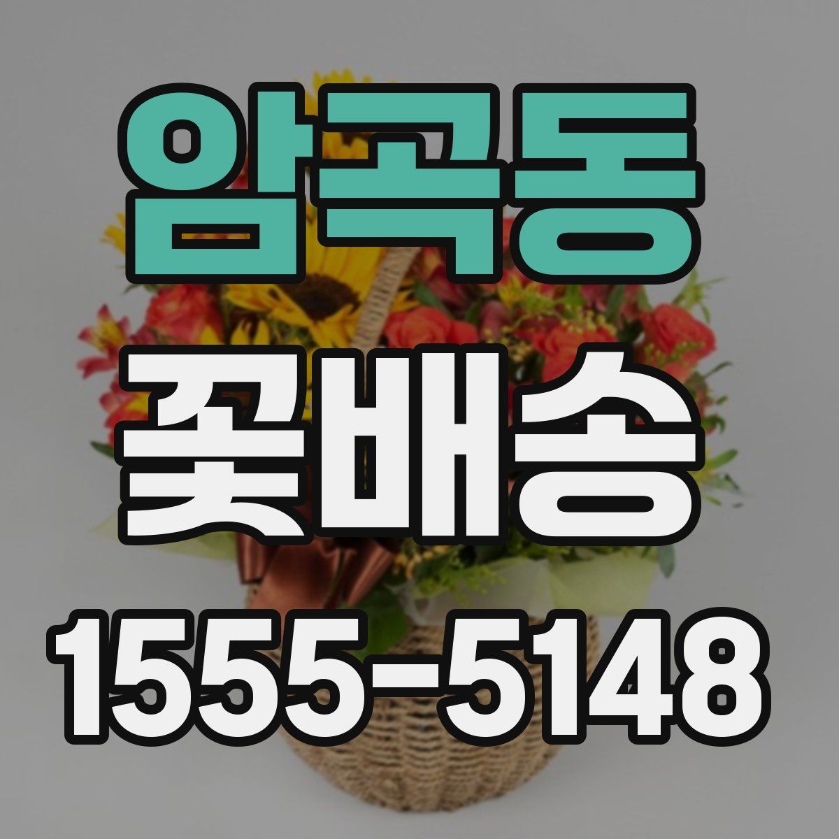 암곡동 꽃배송