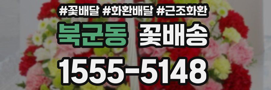 북군동 꽃배송