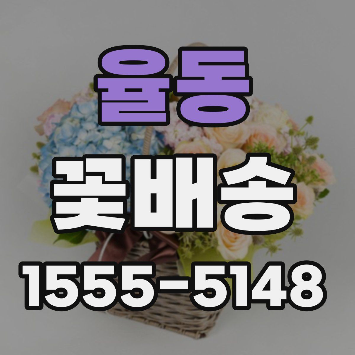 율동 꽃배송