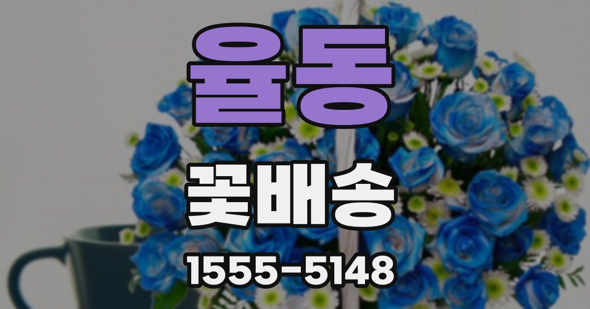 율동 꽃배송