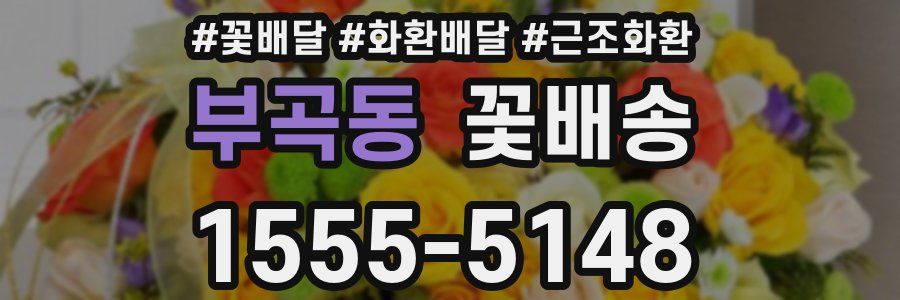 부곡동 꽃배송