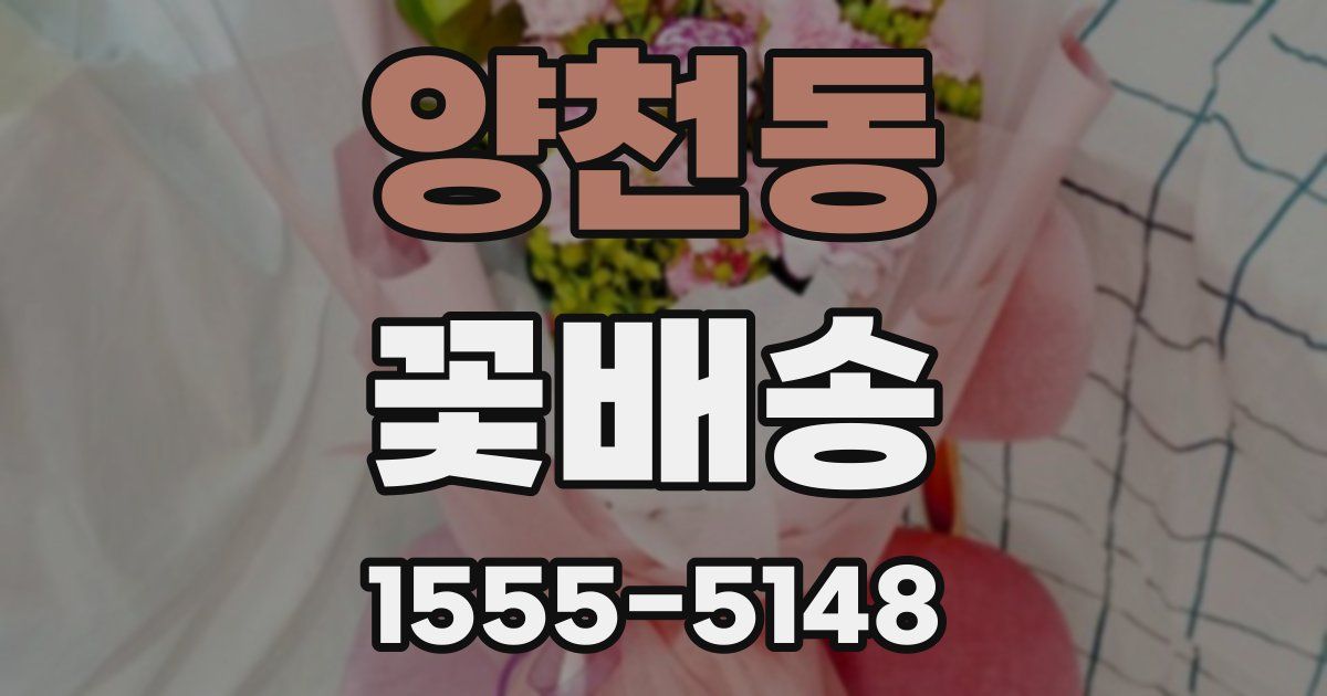양천동 꽃배송