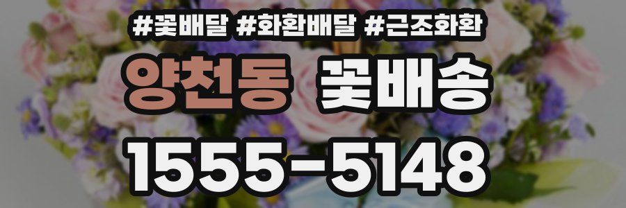 양천동 꽃배송