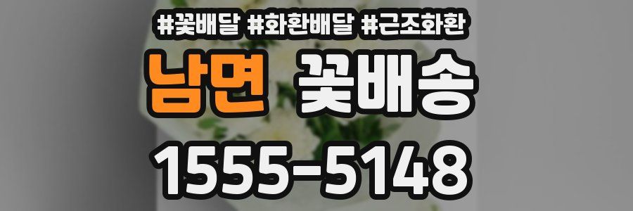 남면 꽃배송