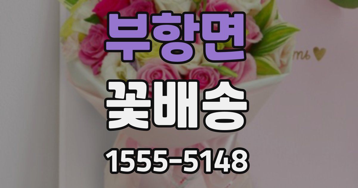 부항면 꽃배송