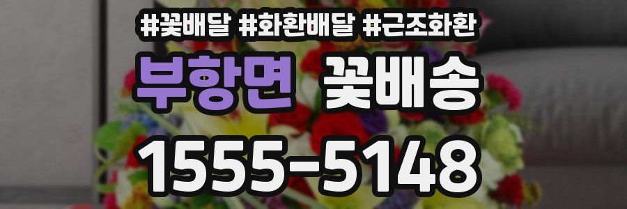 부항면 꽃배송