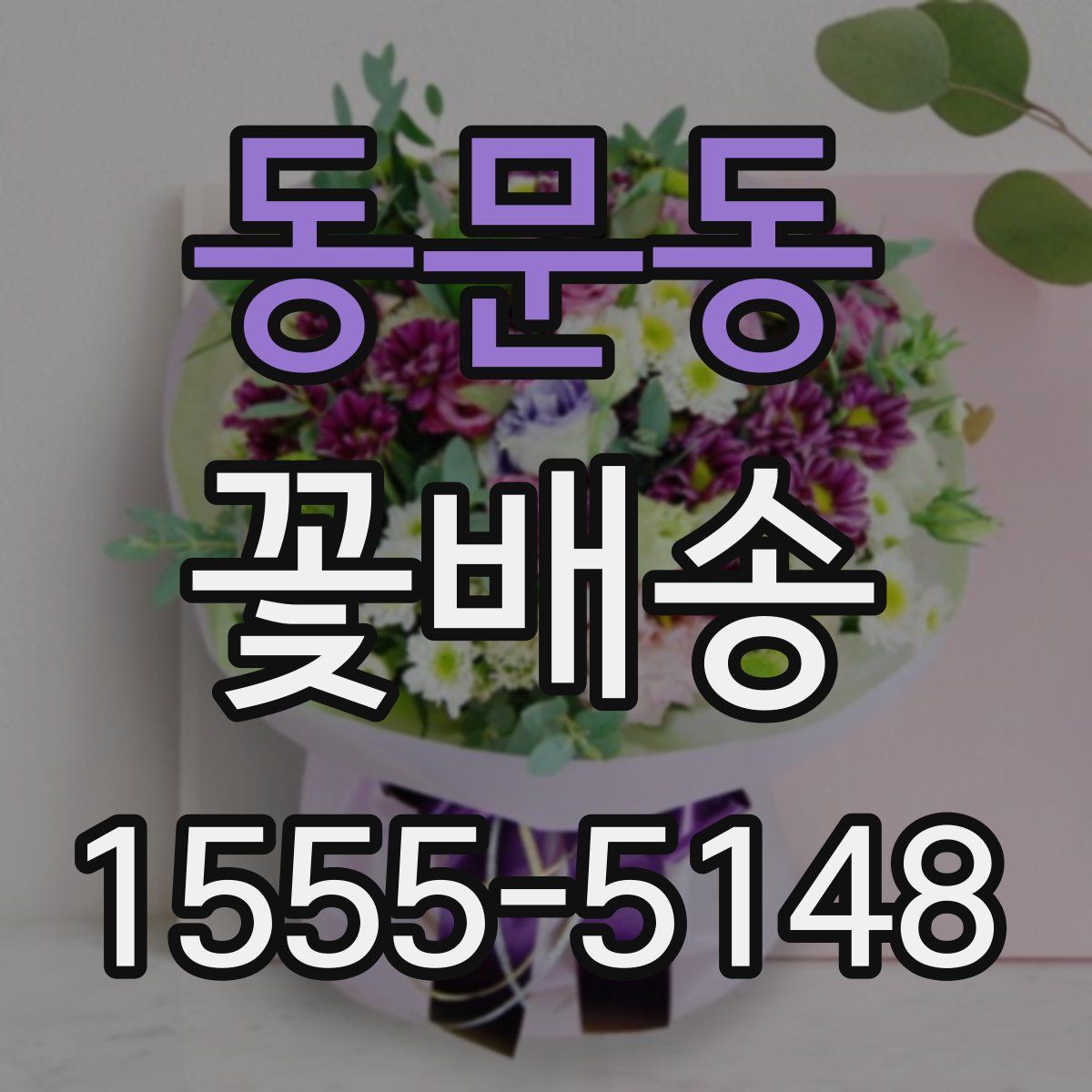 동문동 꽃배송