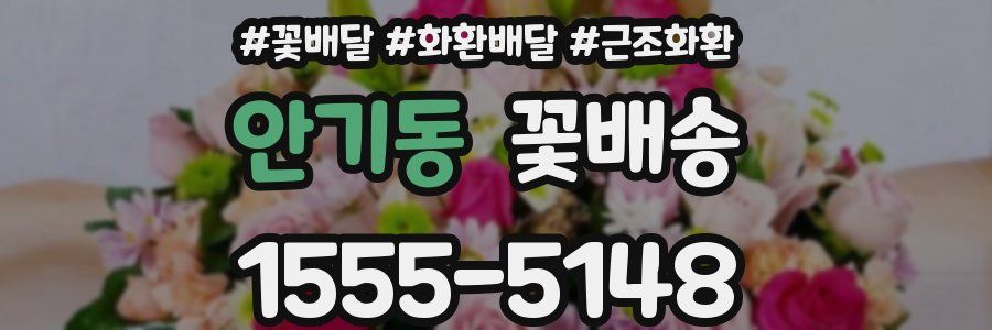 안기동 꽃배송