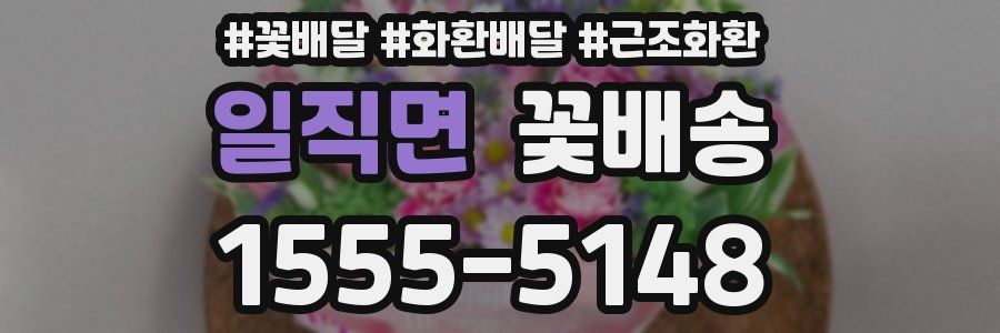 일직면 꽃배송