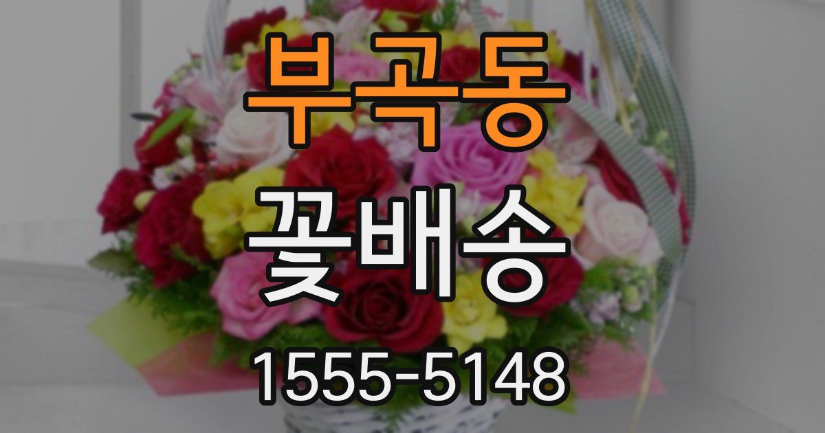 부곡동 꽃배송