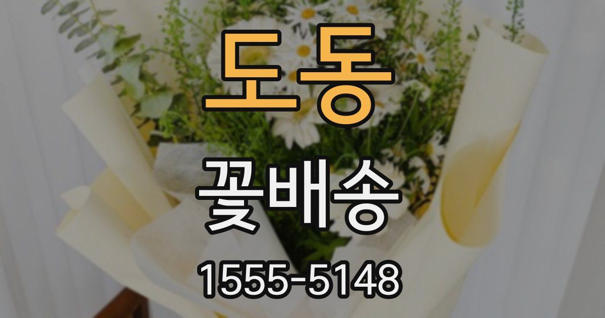 도동 꽃배송
