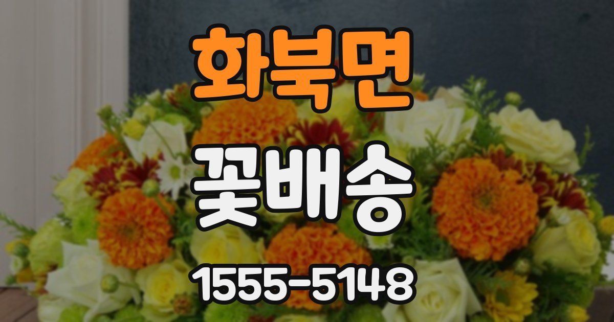 화북면 꽃배송