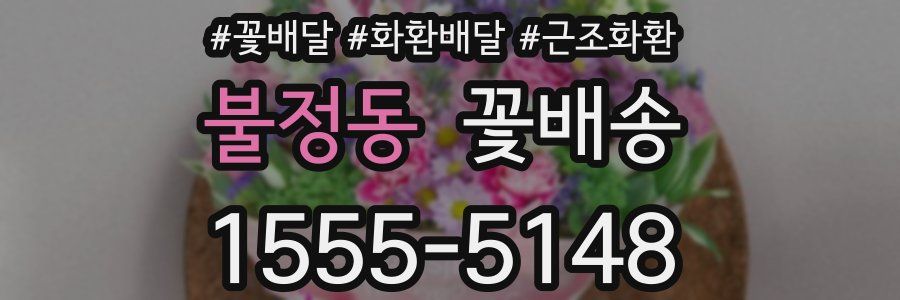 불정동 꽃배송
