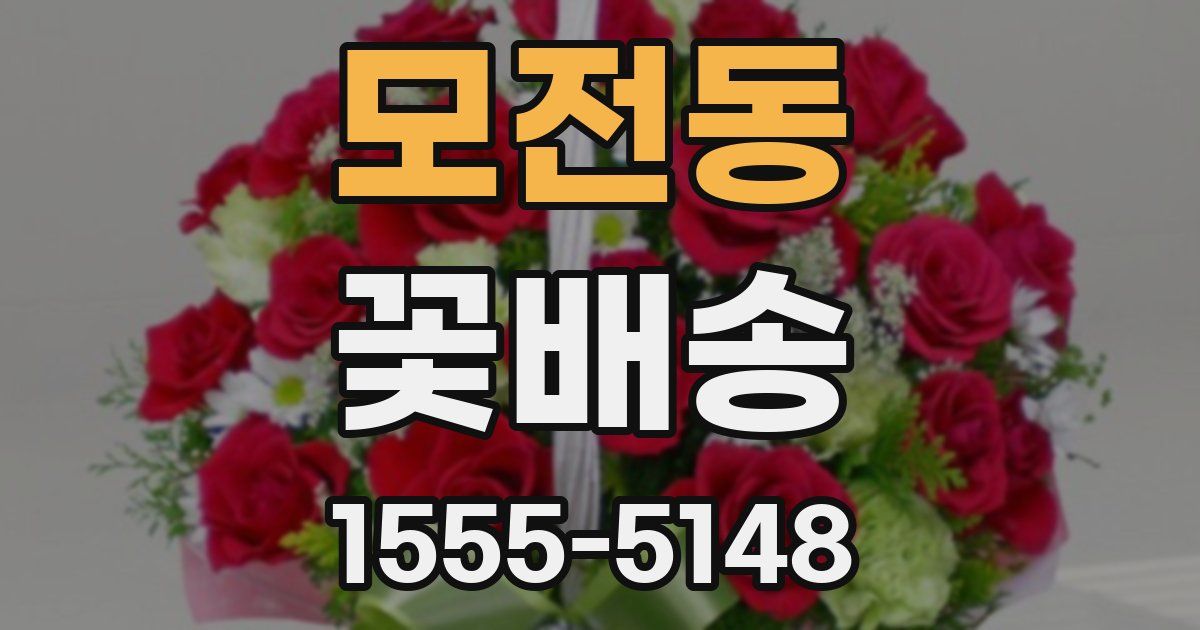 모전동 꽃배송