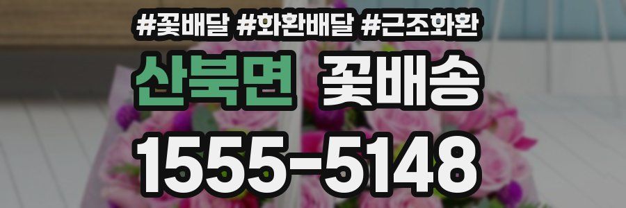 산북면 꽃배송
