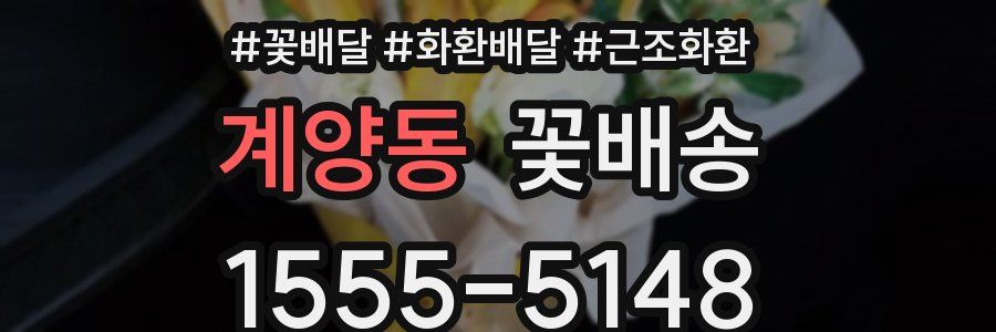 계양동 꽃배송