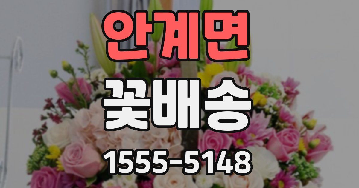 안계면 꽃배송
