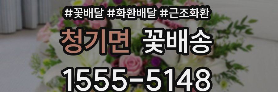 청기면 꽃배송
