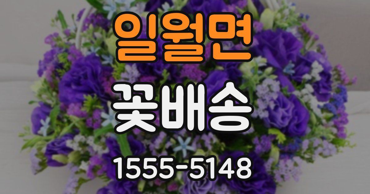 일월면 꽃배송