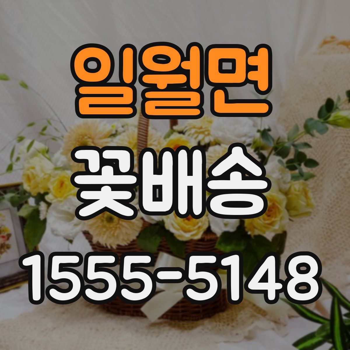 일월면 꽃배송