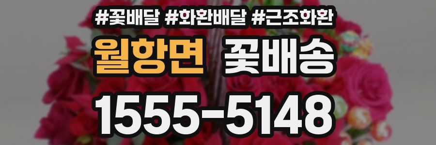 월항면 꽃배송