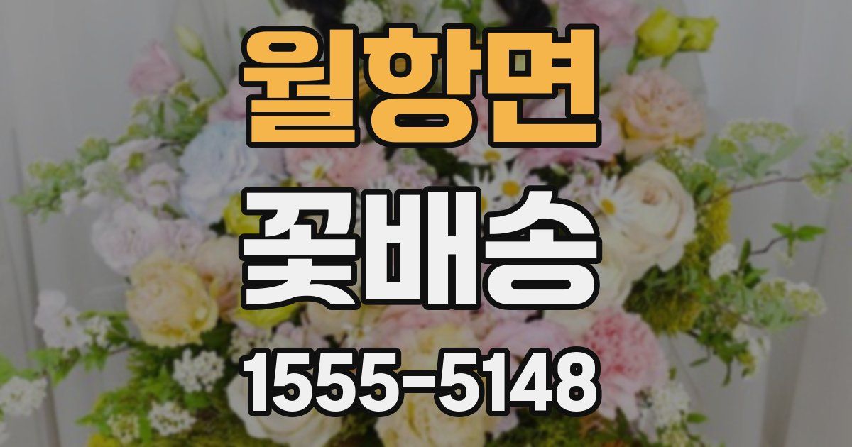 월항면 꽃배송