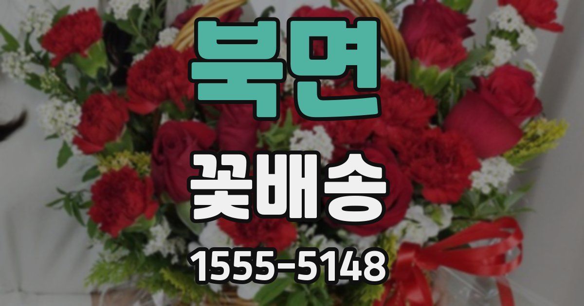 북면 꽃배송