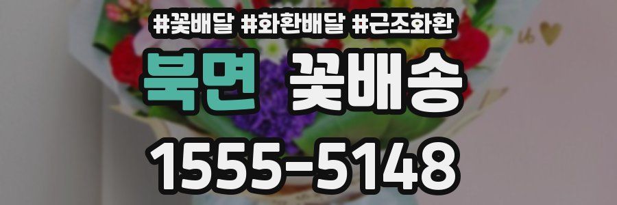북면 꽃배송